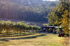 view of annapurna winery with cafe in background