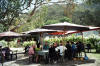 alfresco dinning at ceccanti winery 